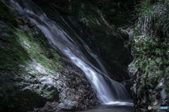 DSCF8085