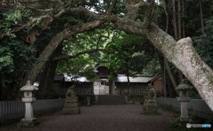 竹野神社