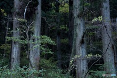 31319F3F-CE16-4F5D-8857-91209B6549AD