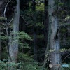 31319F3F-CE16-4F5D-8857-91209B6549AD