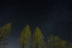 DSCF3463