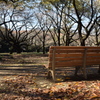 ベンチのある風景　ーー　束の間のやすらぎ　ーー