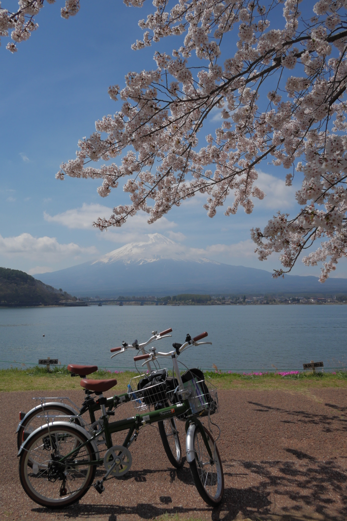 NIPPON