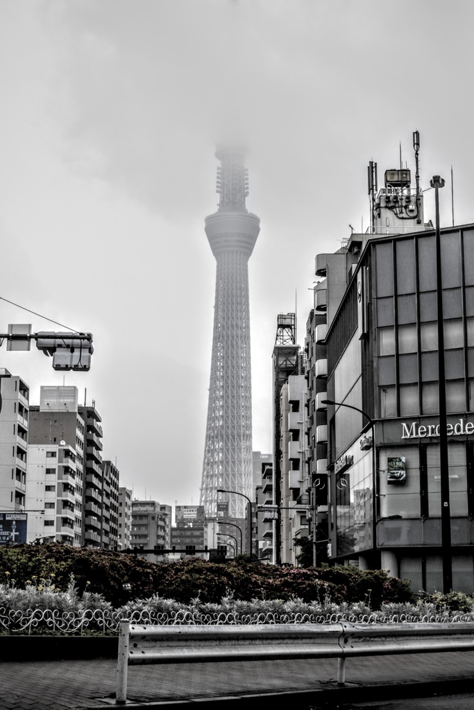 東京