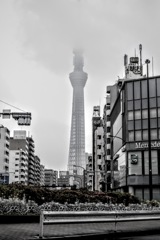東京