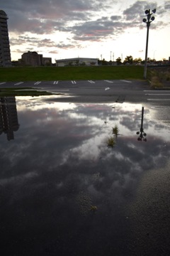 岡崎
