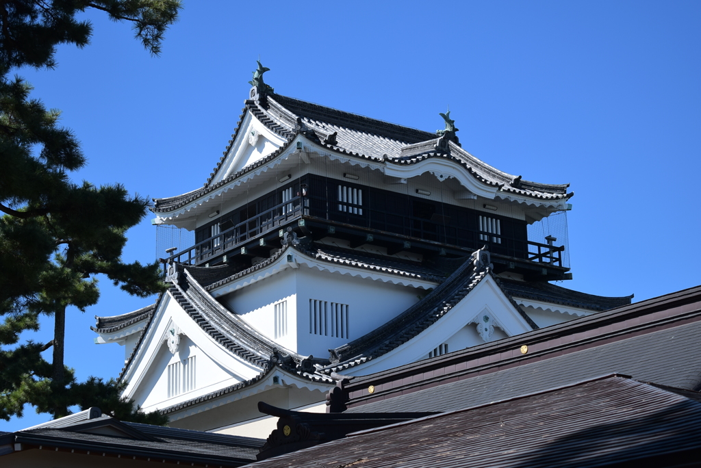 岡崎