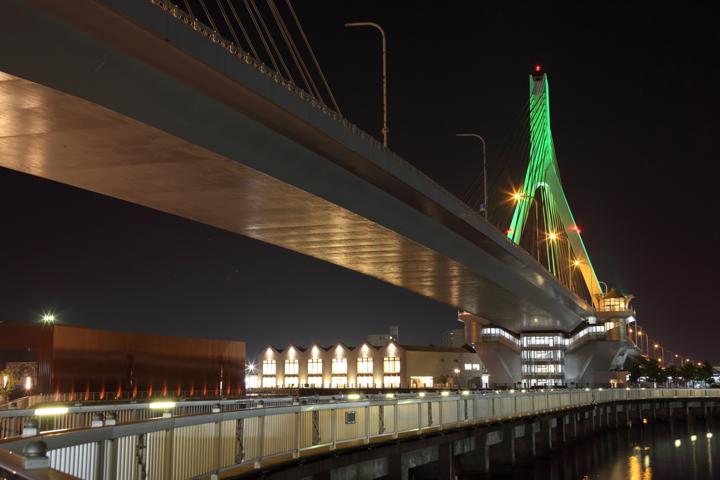 Aomori Green Bridge
