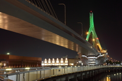 Aomori Green Bridge