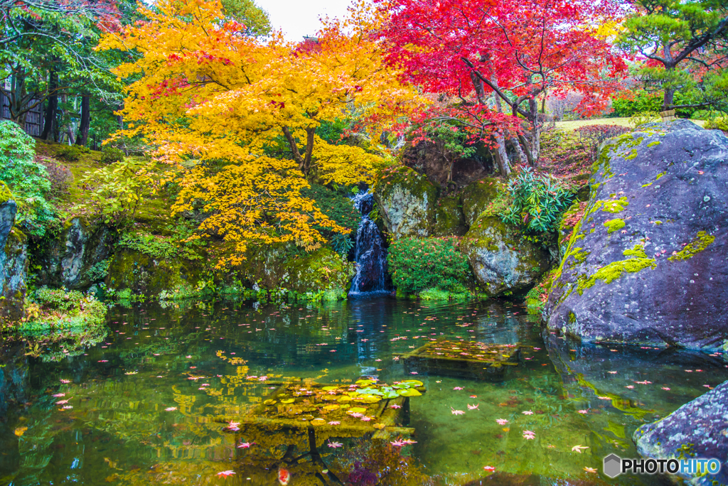 秋の箱根美術館