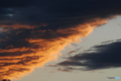 夕日力