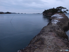 海龍