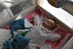 初めての一眼レフ