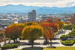 鯖江西山公園