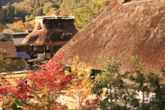 暖かな