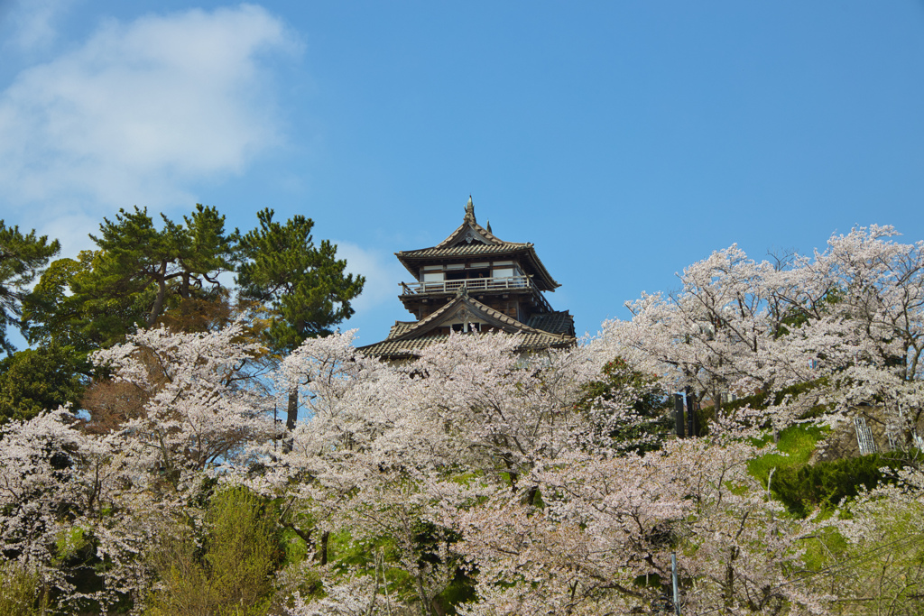 丸岡城