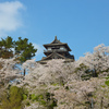 丸岡城