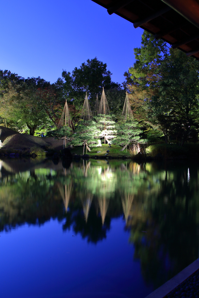 養浩館庭園４