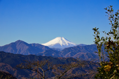高尾山頂からの富士山