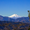 高尾山頂からの富士山