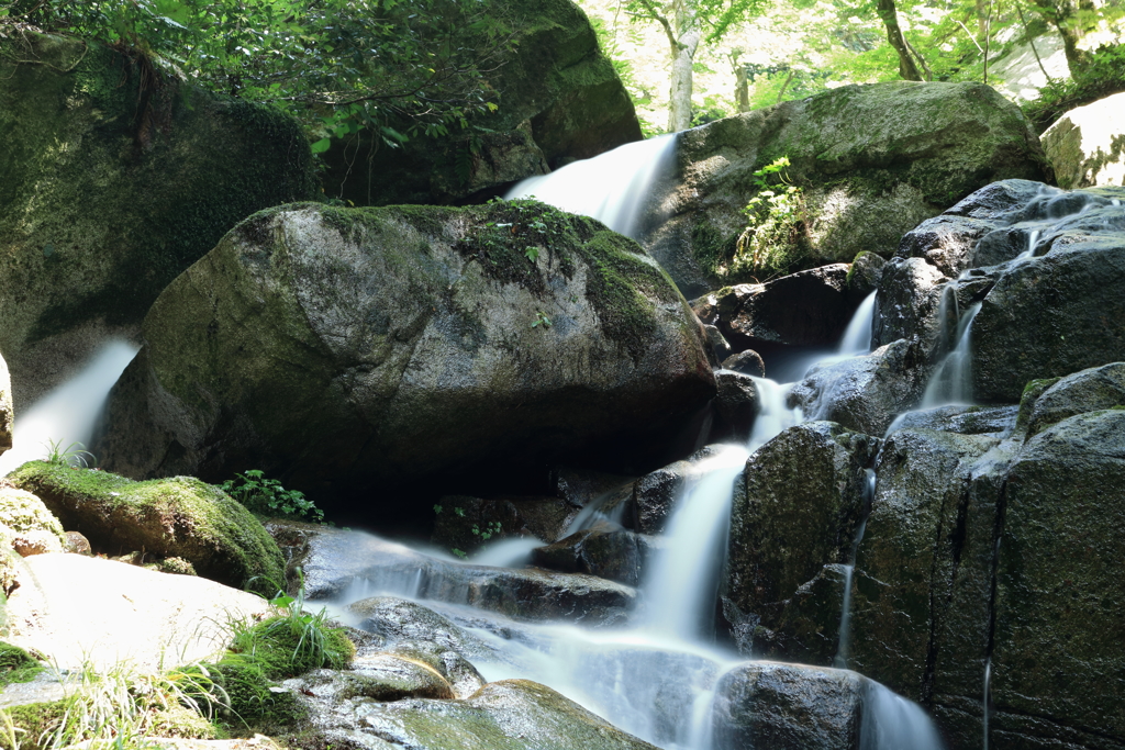 瀧ヤ谷渓谷　竜頭の滝
