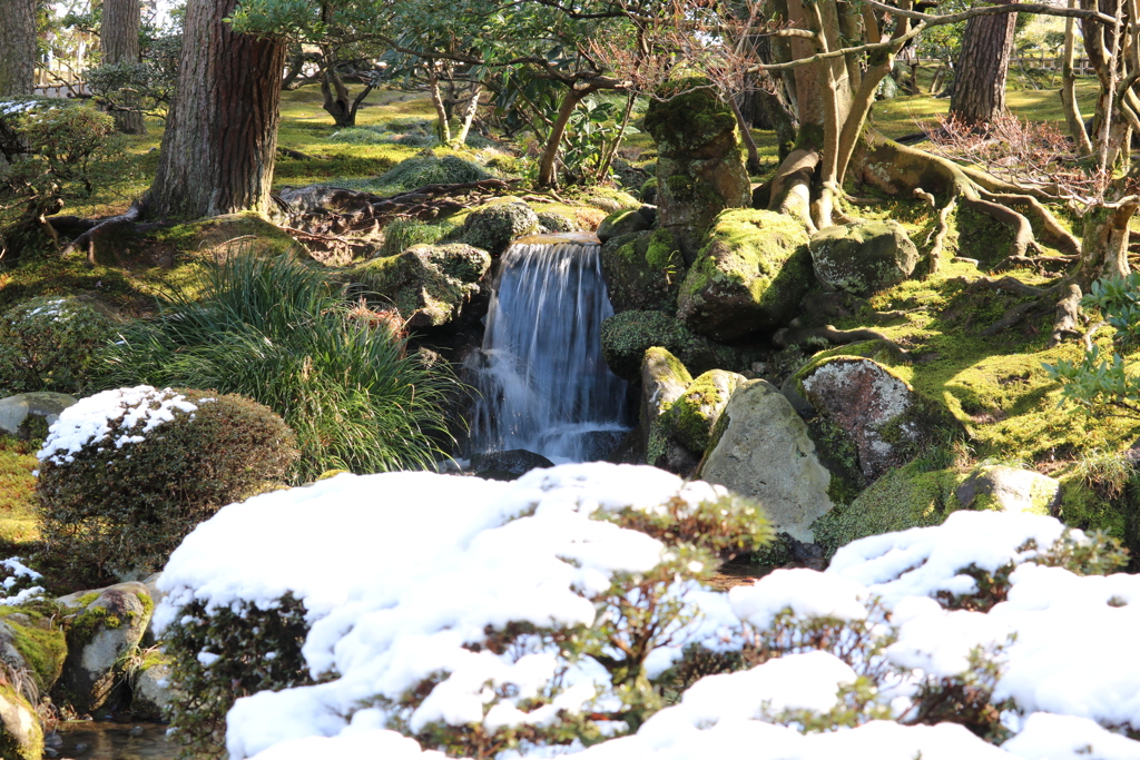 雪と流れと木漏れ日
