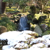 雪と流れと木漏れ日