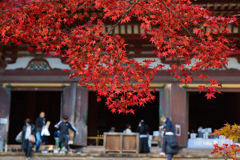 金堂を飾る