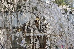 足羽神社