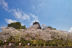 桜雲に建つ