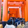 伏見稲荷　千本鳥居
