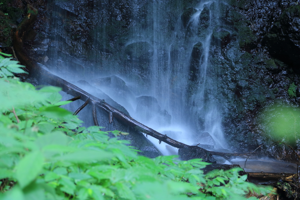 神谷の滝　下段滝下