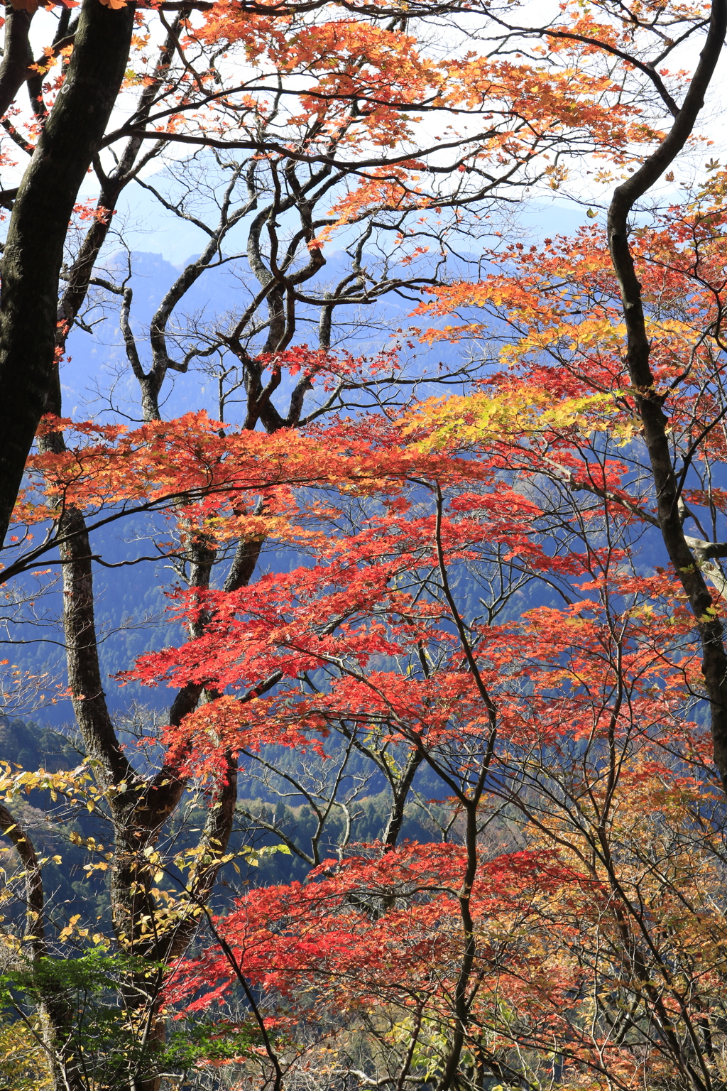 一幅の