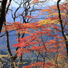 一幅の