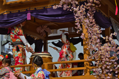 勝山左義長１