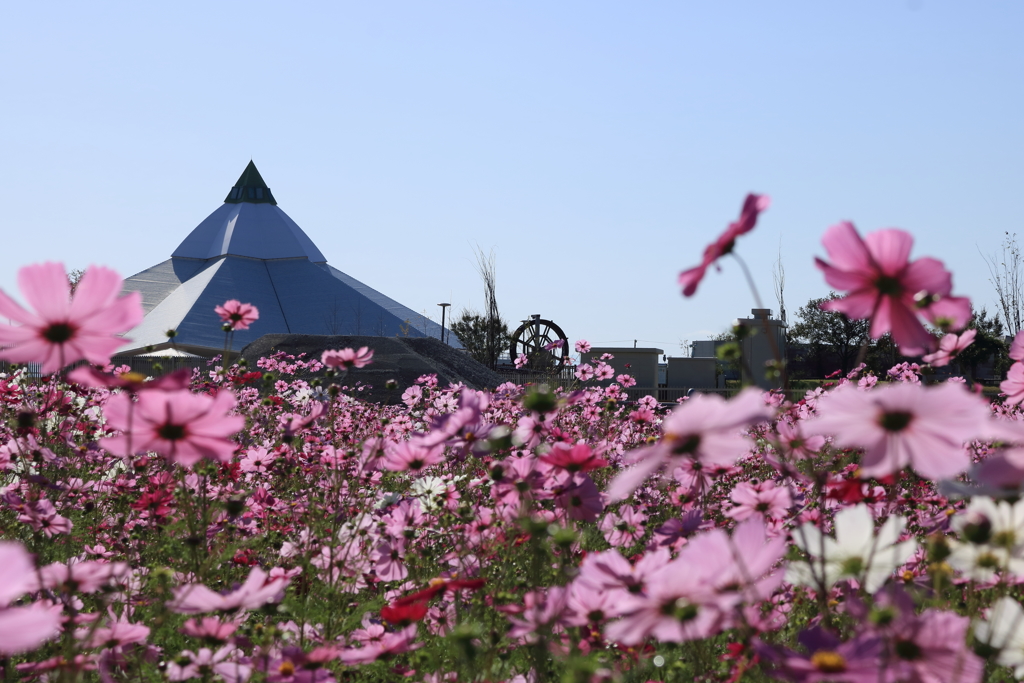ゆりの里公園