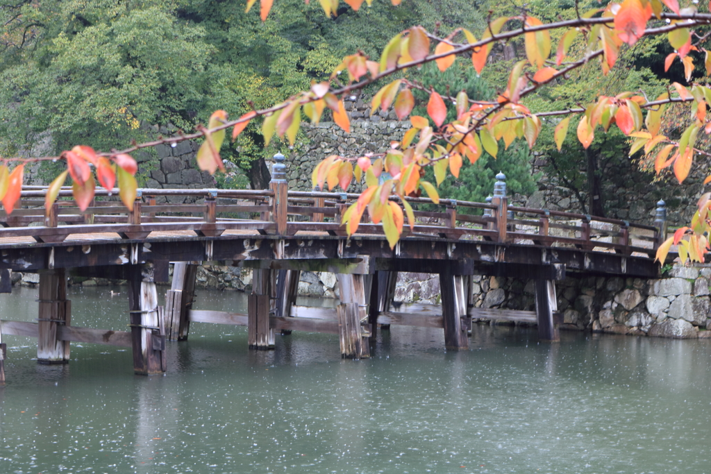 濡れる大手門橋