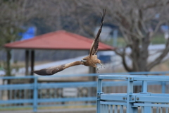 飛ぶ