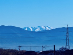 お天気が良かったのでiPhone17proのカメラテスト