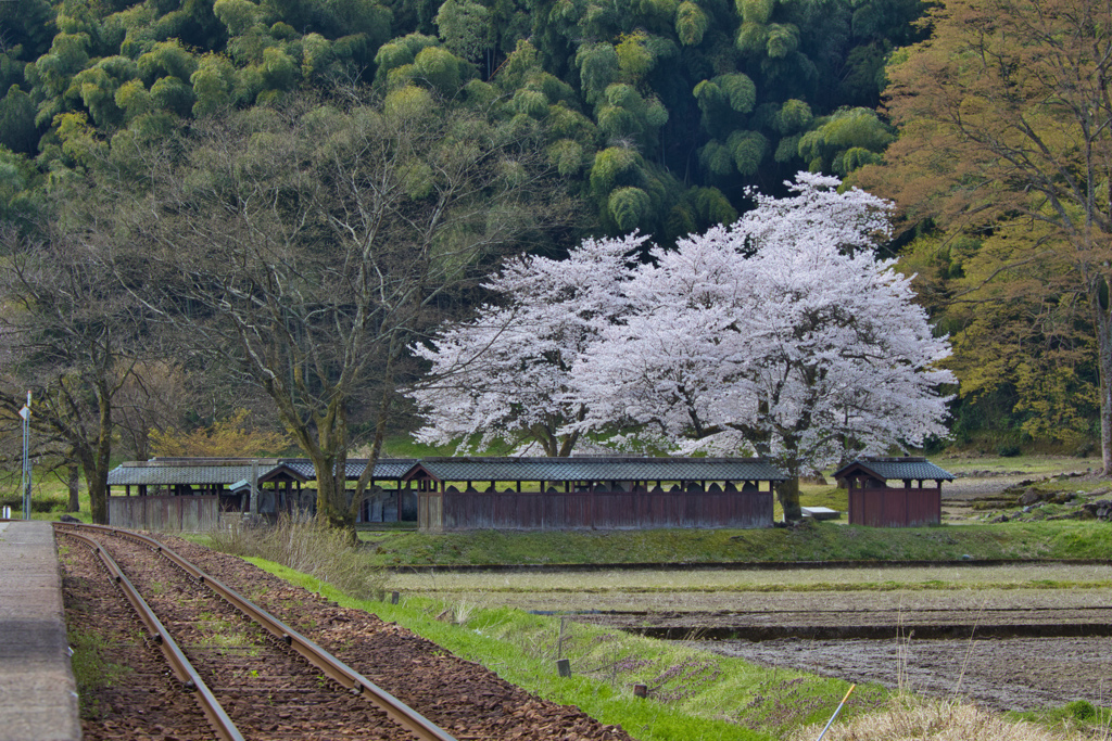 西山光照寺跡