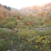 蛇籠砂防ダム