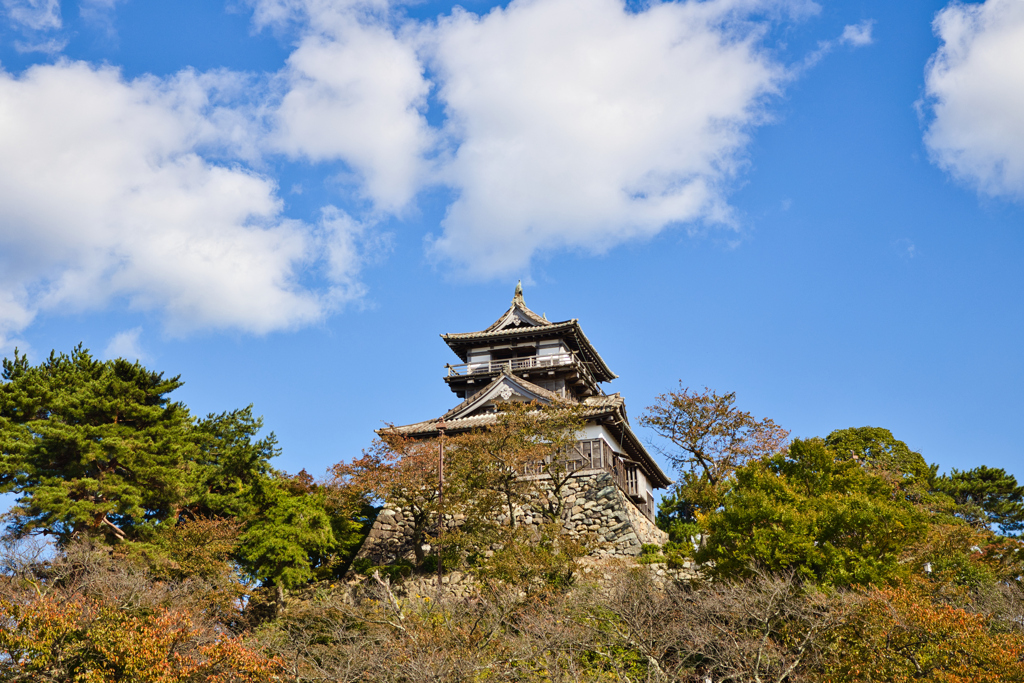 丸岡城