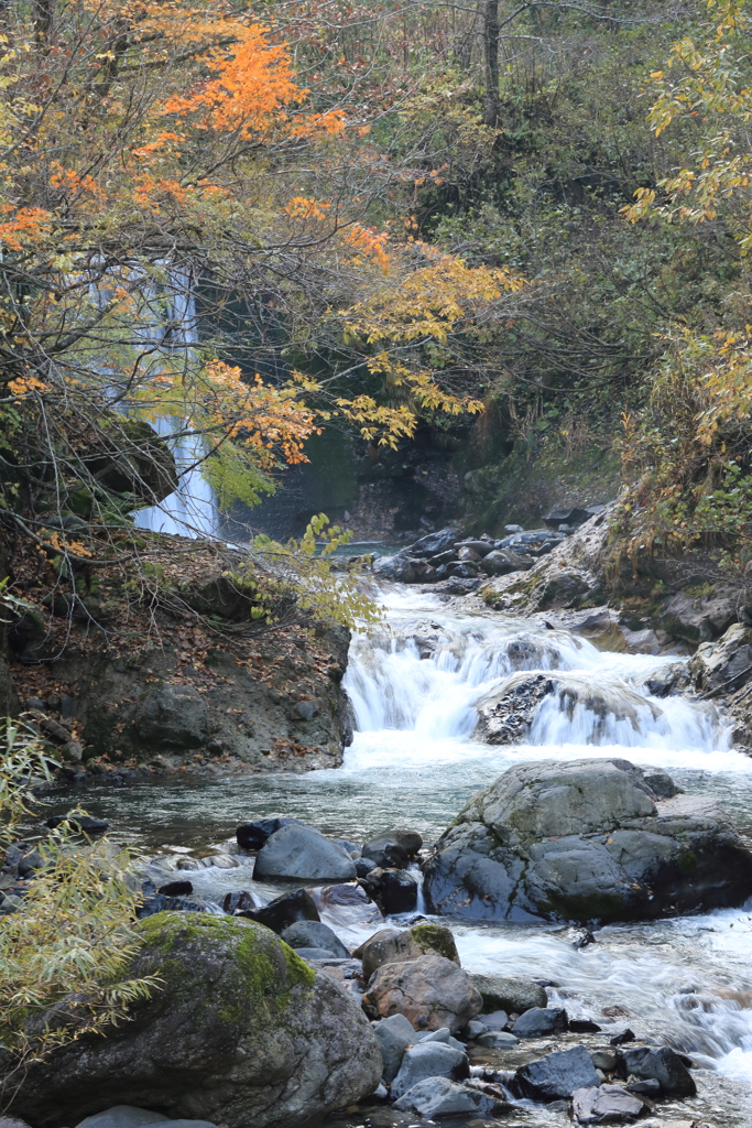 打波川渓流