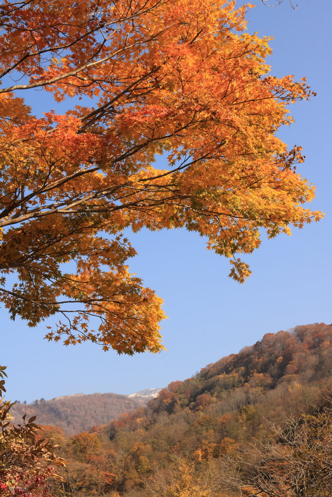 贅沢な風景