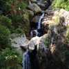 荒島谷川本流渓流