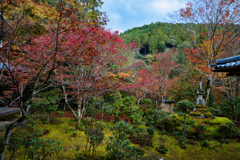 西明寺　庭