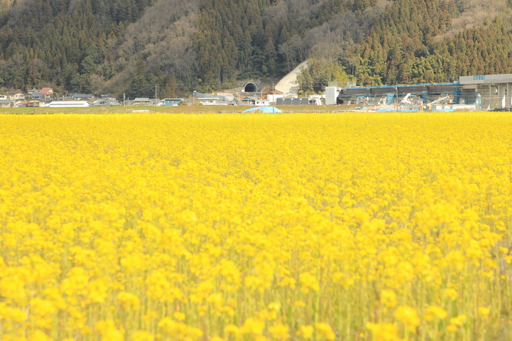 北陸新幹線鯖江第二トンネル