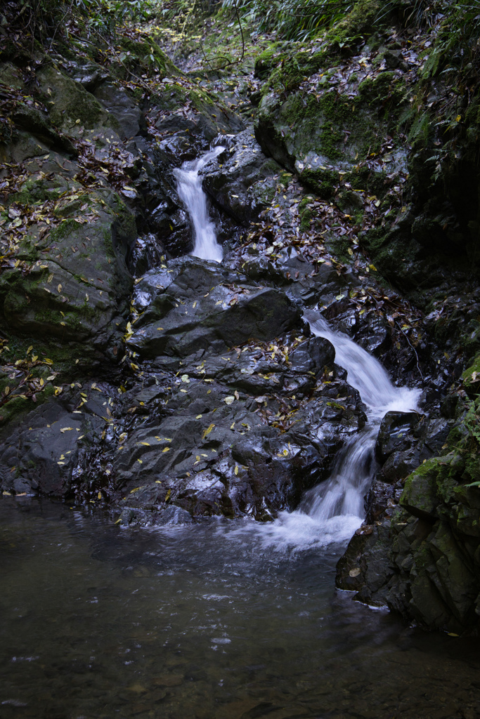 高尾山　前の沢下流４