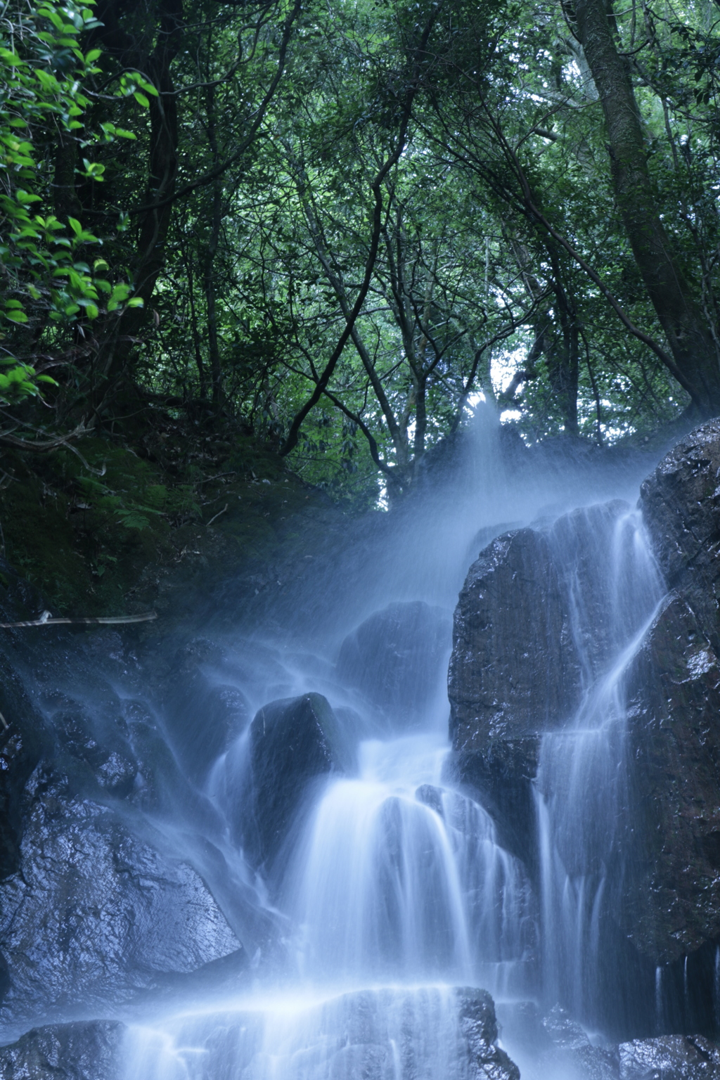 鳴滝　滝口