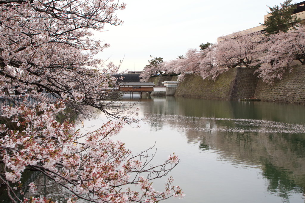福井城　御廊下橋